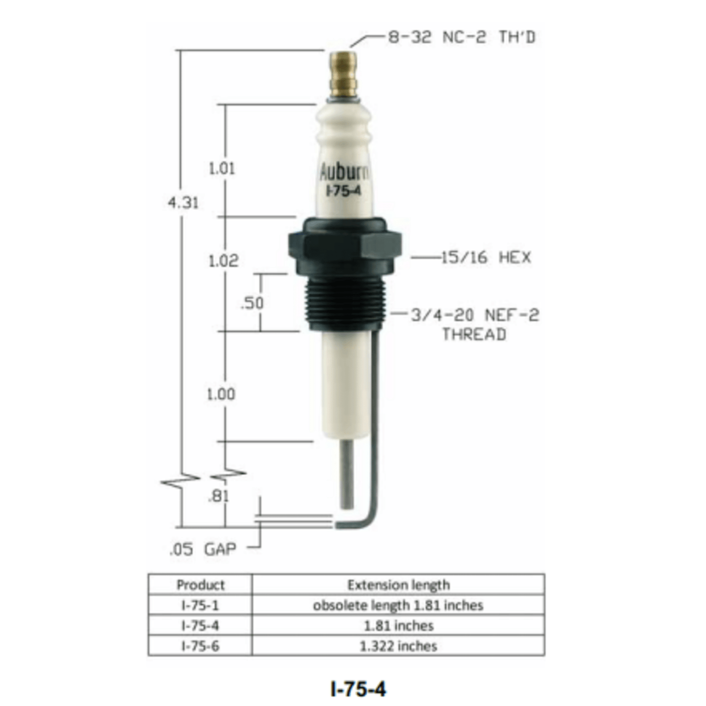 Igniter (CS12953) - Auburn