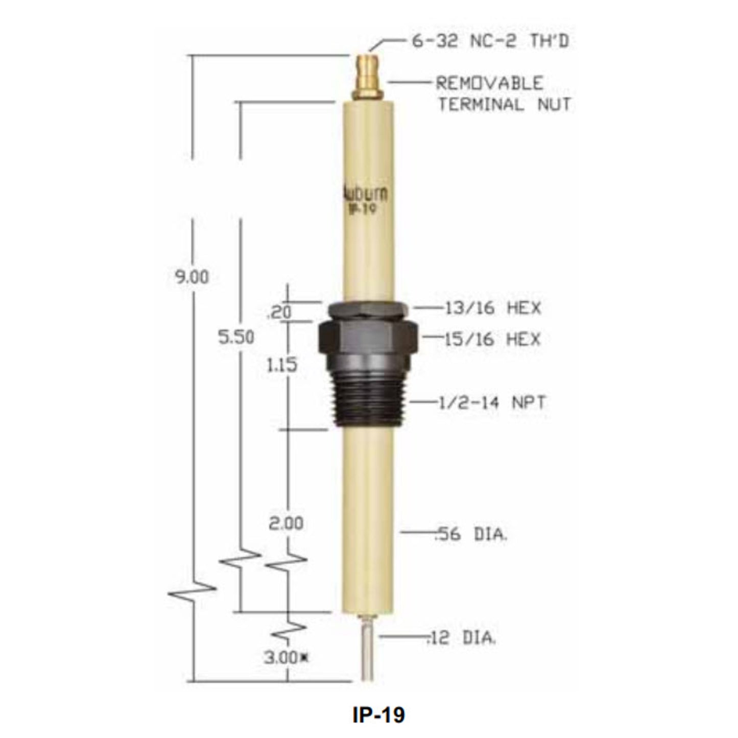 IP-19 - Auburn - Igniter (CS13006)
