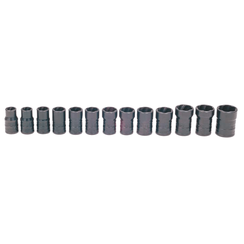 Socket Set on Rail and Clips 13 pc 3/8" SAE & Metric TURBOSOCKET  Salvage  - Williams