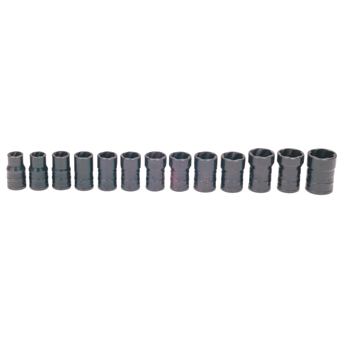 Socket Set on Rail and Clips 3/8