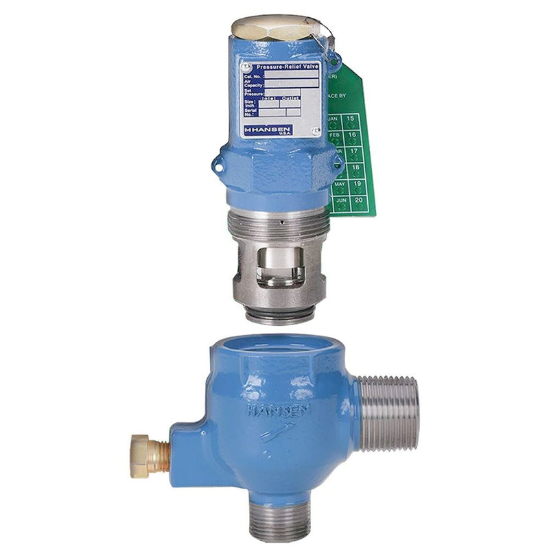 Relief Valve EZ- Cartridge, 3/4 MPT w/ Fitting - Hansen
